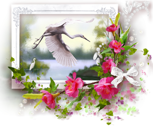 Hérons blancs cadre fleuri