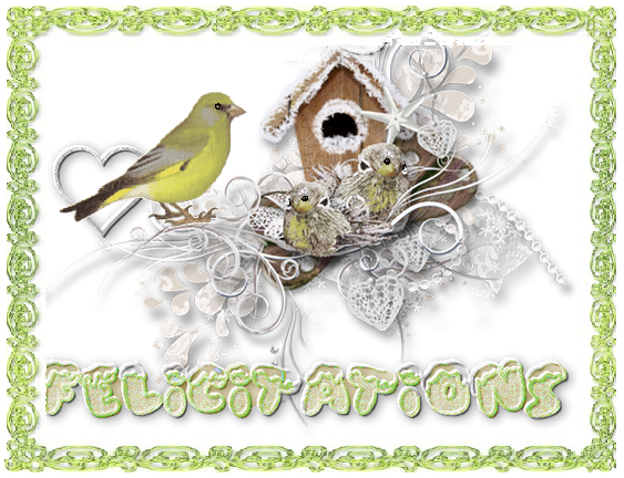 Felicitations/ Nid d'oiseaux