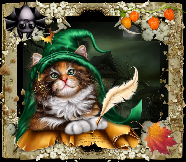 Chat sorcier automne