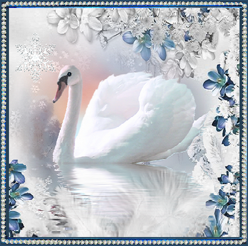 Cygne en hiver cadre perles et fleurs bleus