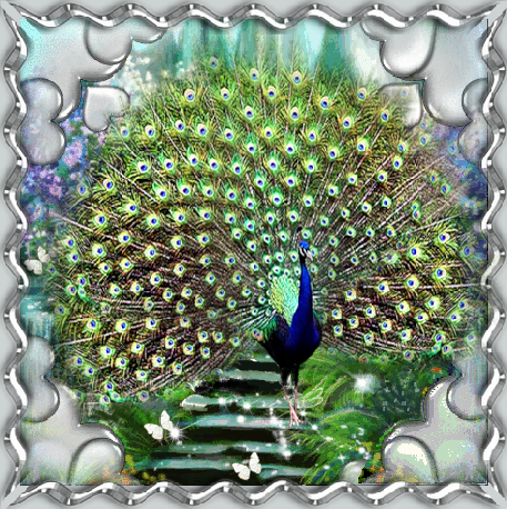 Paon décor coeur argent