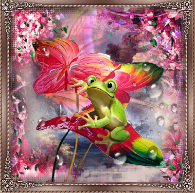 Grenouille et feuilles colorées