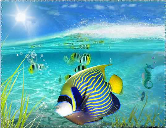 Poissons tropicaux dans un lagon