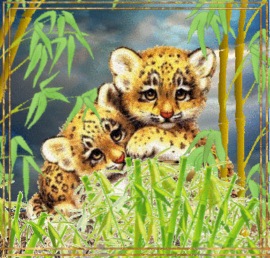 Deux bébés léopards dans la savane
