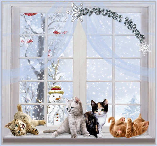 Joyeuses fêtes/ 4 chatons devant une fenêtre.