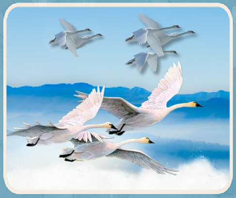 8 cygnes volants au dessus des montagnes