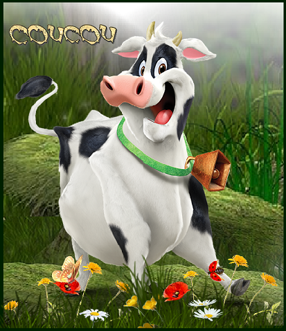 la vache tirages de photos de vaches vente de photos de vaches Découvrez