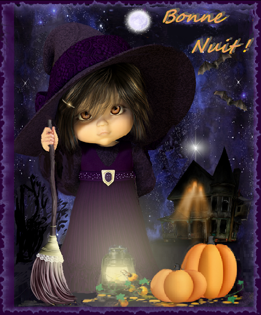 Bonne nuit! Petite sorcière pleine lune.