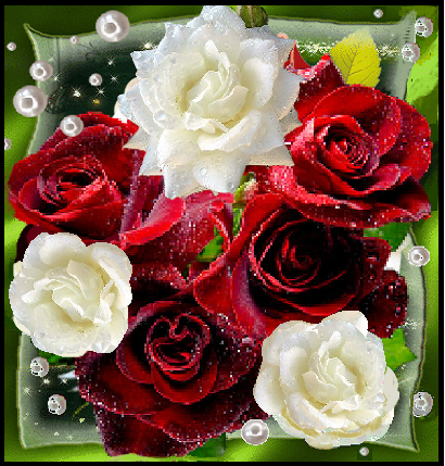 Bouquet de roses rouges et blanches