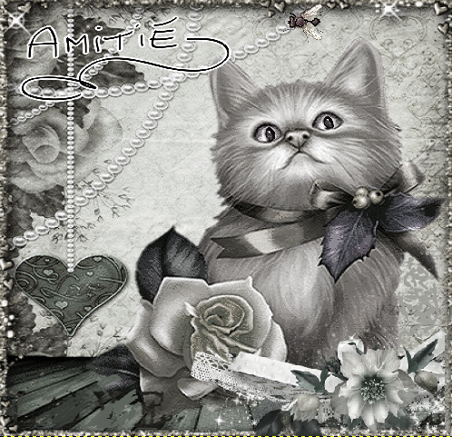 Amitié/chaton,  fleurs  en noir et blanc.