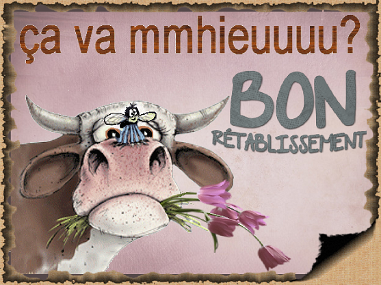 Bon rétablissement / ça va mieux ?