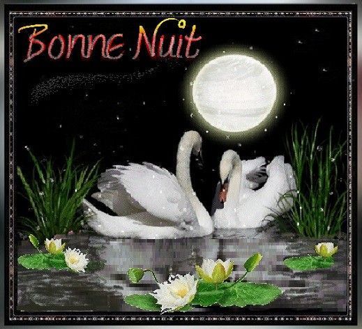 Bonne nuit : Cygnes et pleine lune