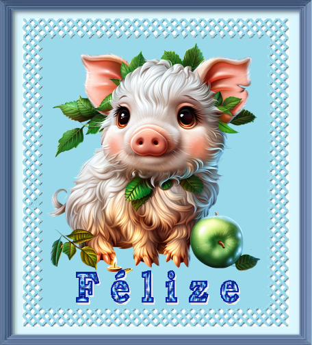 Félize/ COCHON