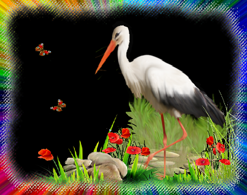 Cigogne et papillons fond noir