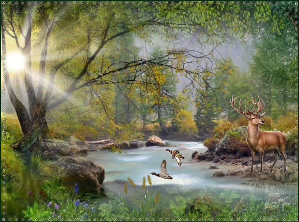 Rivière début automne, cerf et canards 