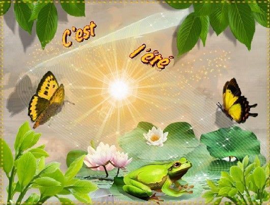 C'est l'été: papillons, nenuphars et grenouille.