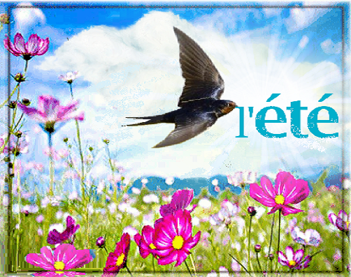 L'été , hirondelle, champs de fleurs.