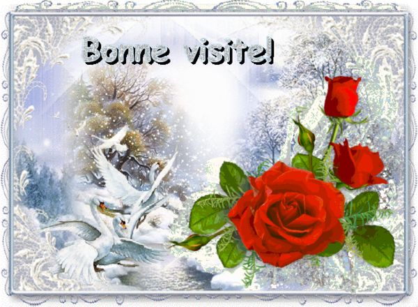 Bonne visite/ roses et cygnes en hiver