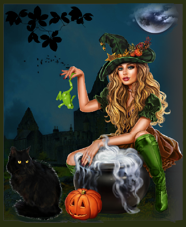 Sorcière à la grenouille