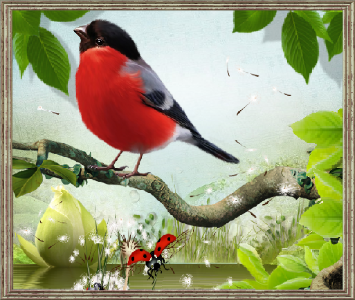 Bouvreuil et coccinelle en été.