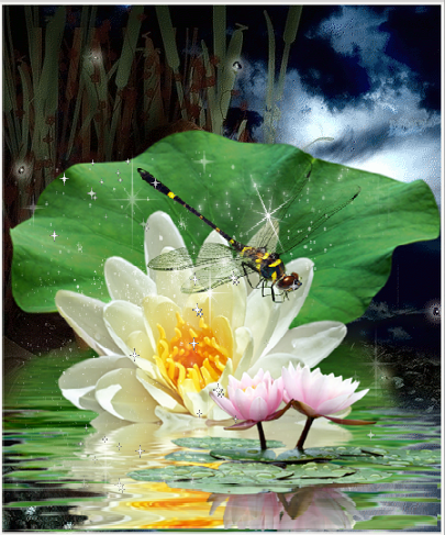 Libellule et nénuphar, la nuit .