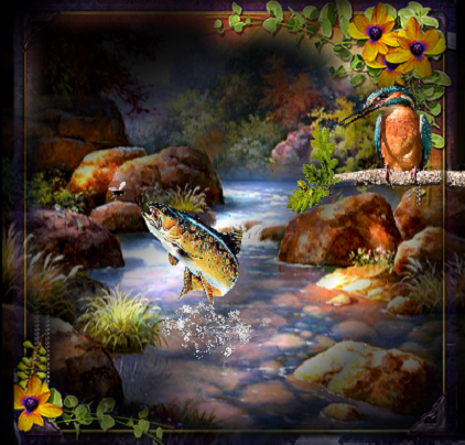 Rivière, truite et  martin-pêcheur