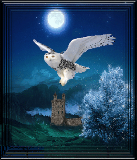 Chouette effraie , pleine lune et ruine de château.