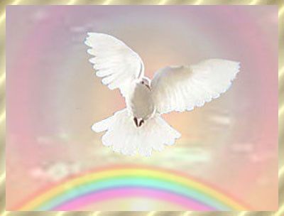 Colombe et arc en ciel