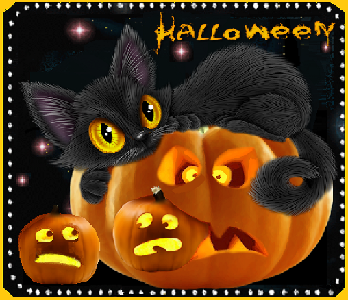 Halloween, chat et citrouilles marrantes