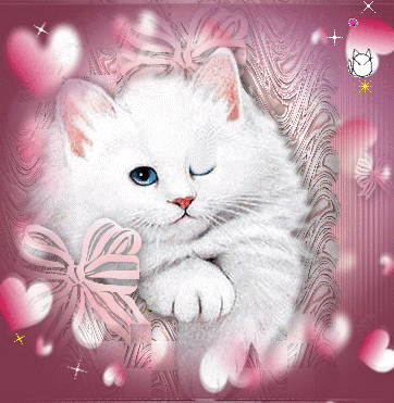 Chat blanc clin d'oeil, fond coeurs roses