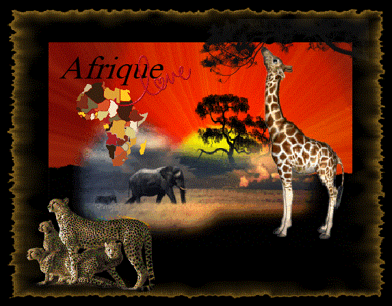 Afrique Love /animaux, coucher de soleil, carte.