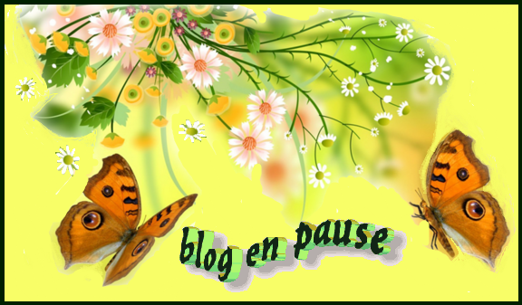 Blog en pause: papillons fond vers anis