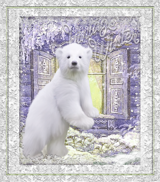 Ours polaire devant une maison/ Winter