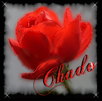 CHADO