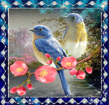 Couple oiseaux sur branche fleurs de cognassier