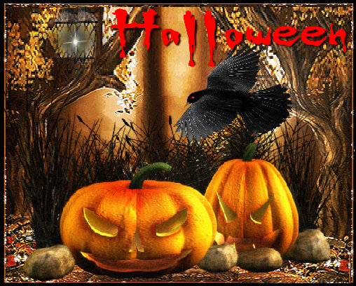 HALLOWEEN. Citrouilles et corbeau le soir.
