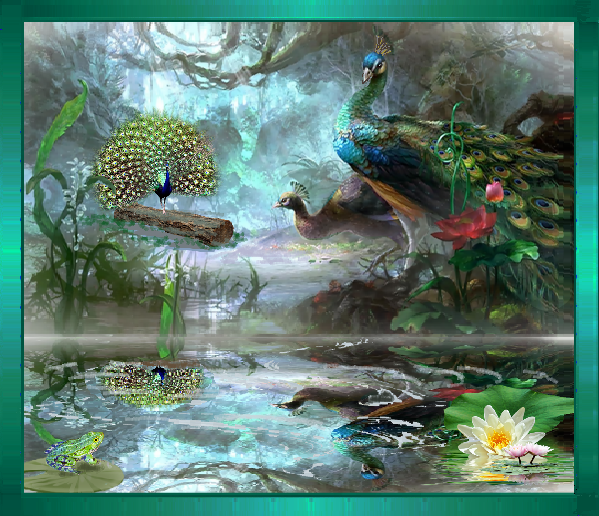 3 paons, reflet dans la marre.