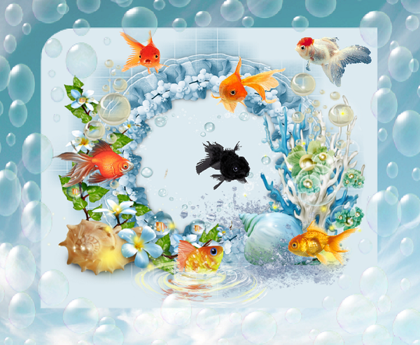 Poissons rouges et autres