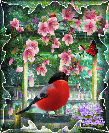 Bouvreuil et papillon au printemps