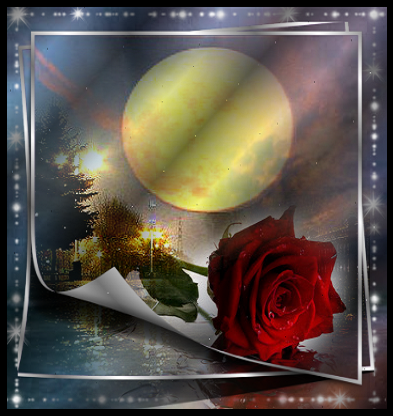 Pleine lune et rose rouge