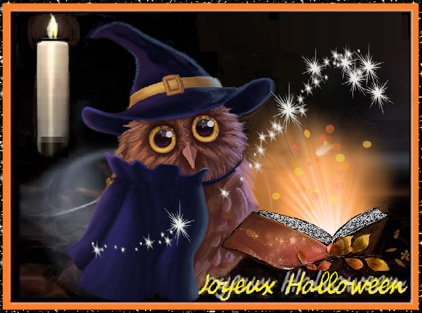 Joyeux halloween/ Chouette et sorcellerie