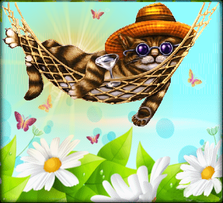 Eté, avec un chat dans un hamac.