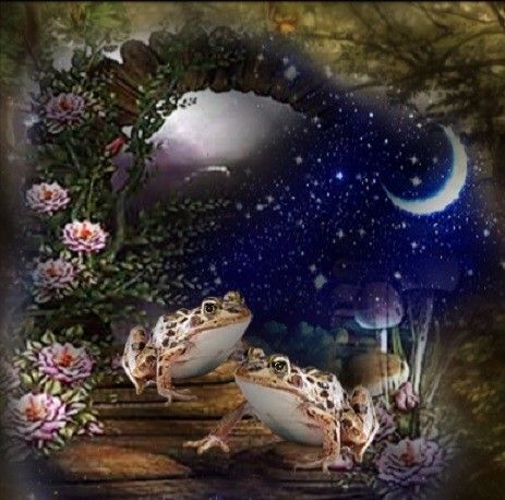 Grenouilles au clair de lune.