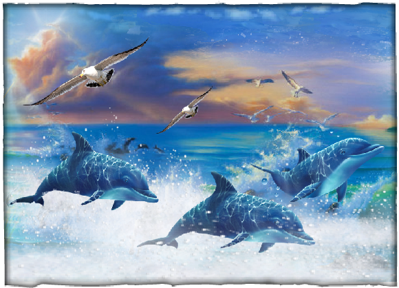 Dauphins et mouettes, coucher de soleil