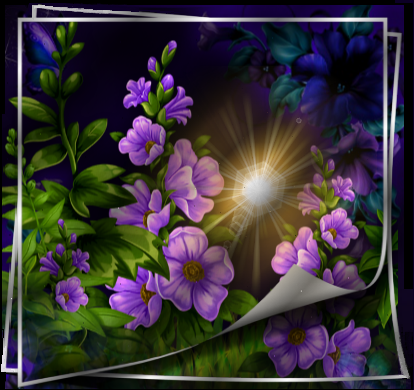 Fleurs mauves à l'aube 