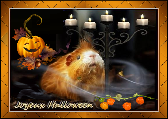 Cobaye joyeux halloween citrouille