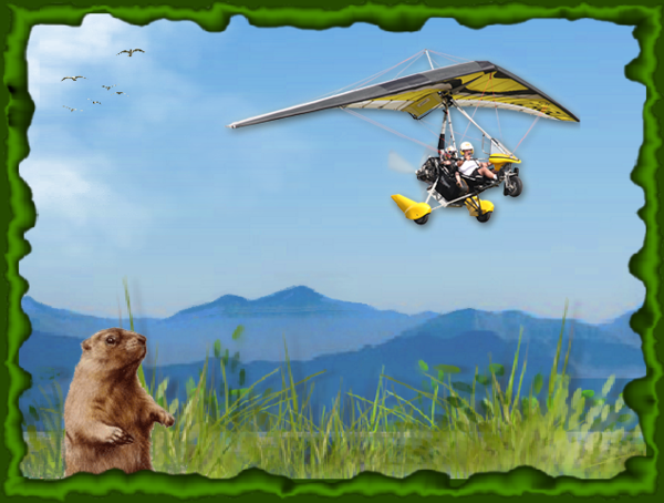 ULM au dessus de la prairie et marmotte