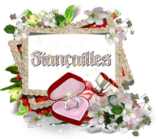 Fiancailles/ boite coeur et bague, fleurs