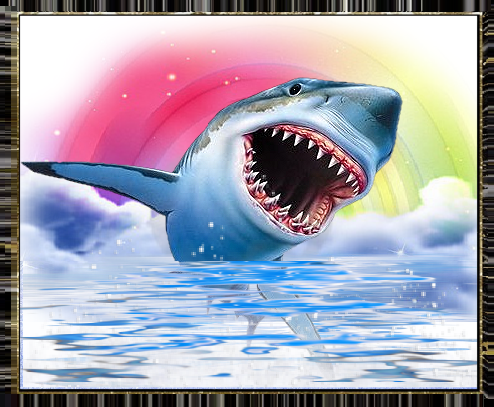 Requin, mer et arc en ciel