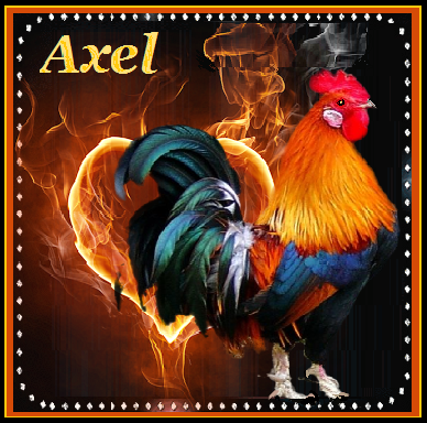 AXEL / 2017  signe chinois  : coq de feu